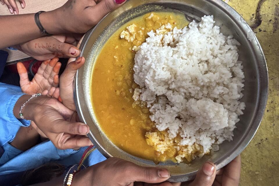Lessons from Piloting a Tool to Monitor Agrobiodiversity and Social Inclusion in School Meal Programmes in India 