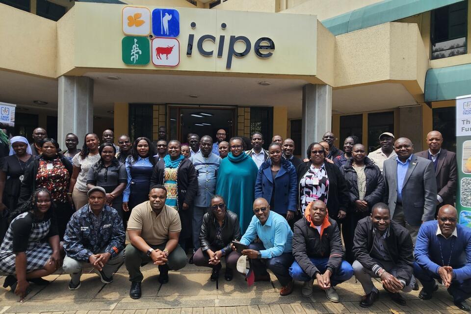 Leveraging Opportunity Crops to Transform Food Systems - Unveiling the Power of Diversity Funding Facility in Nigeria, Zambia & Kenya