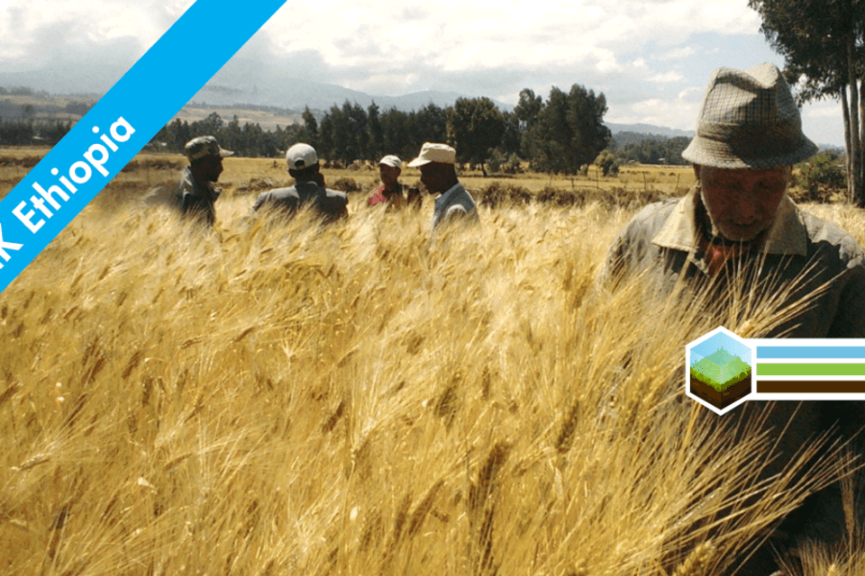 Linking farmers and markets in Ethiopia inclusive business models