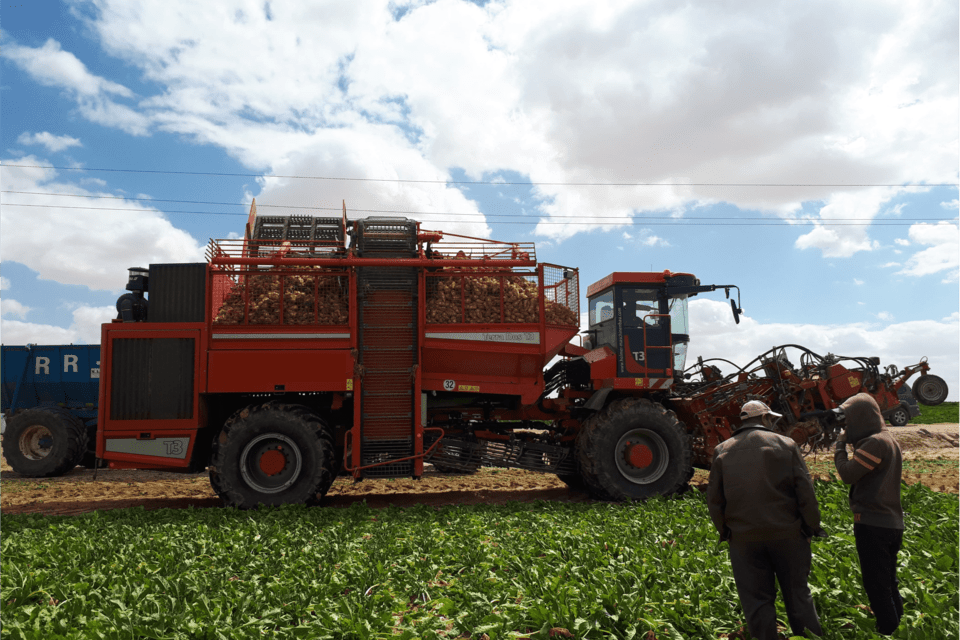 Lotus for Agricultural Investment & Development and the Alliance of Bioversity International and CIAT Sign a Memorandum of Understanding to Drive Agri-Tech Innovation in Egypt and MENA