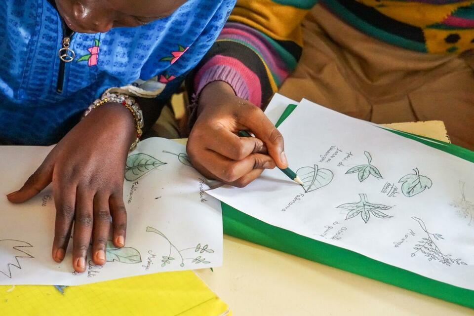 Lunch Matters: How school meals enhance nutrition, education and agrobiodiversity in Africa 