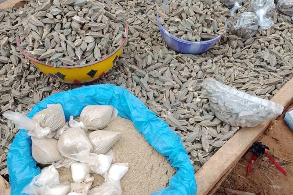 Making Market Information Work for Neglected Crops in Niger