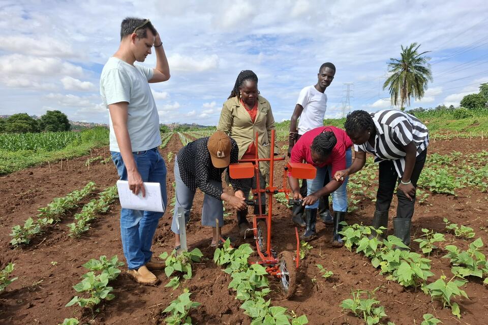 Meet BRUNO - The new AI Robot Revolutionizing Bean Breeding in Uganda