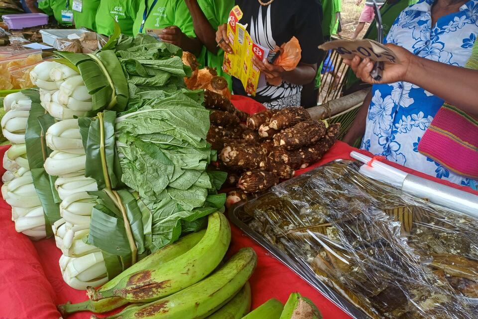 MERMAID Programme - Alliance Bioversity International - CIAT