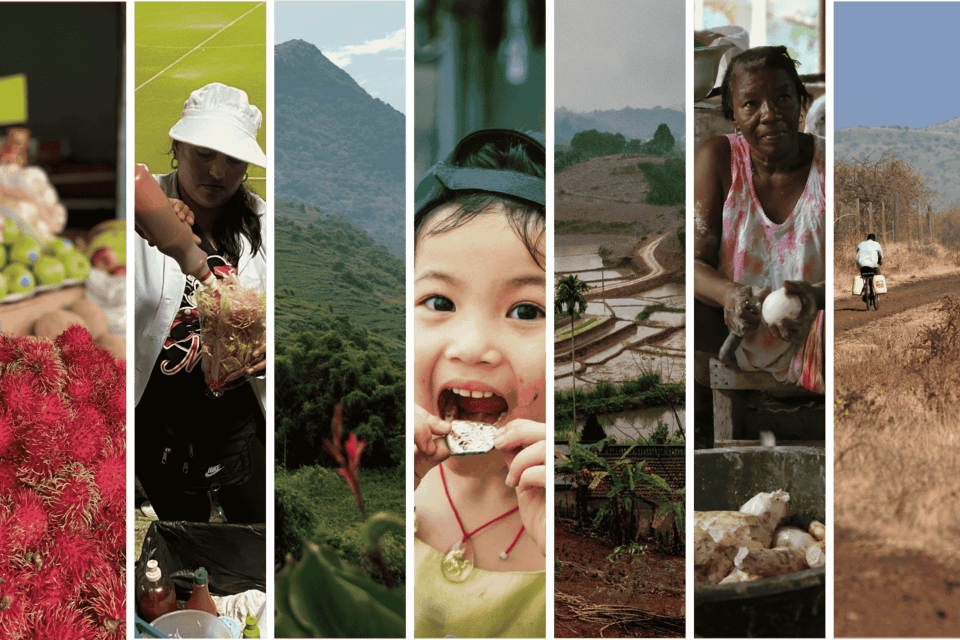 Nine heads up from science to decision-makers for managing global crises