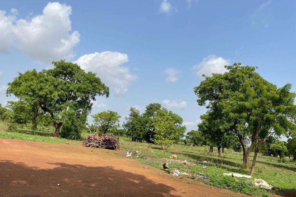 Optimizing farming systems for sustainable intensification in Savulgu district, Northern Ghana Insights from fieldwork