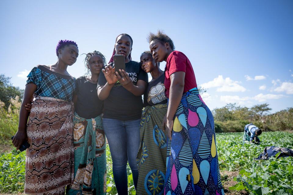 Scaling Financial and Information Services for Smallholder Adaptation
