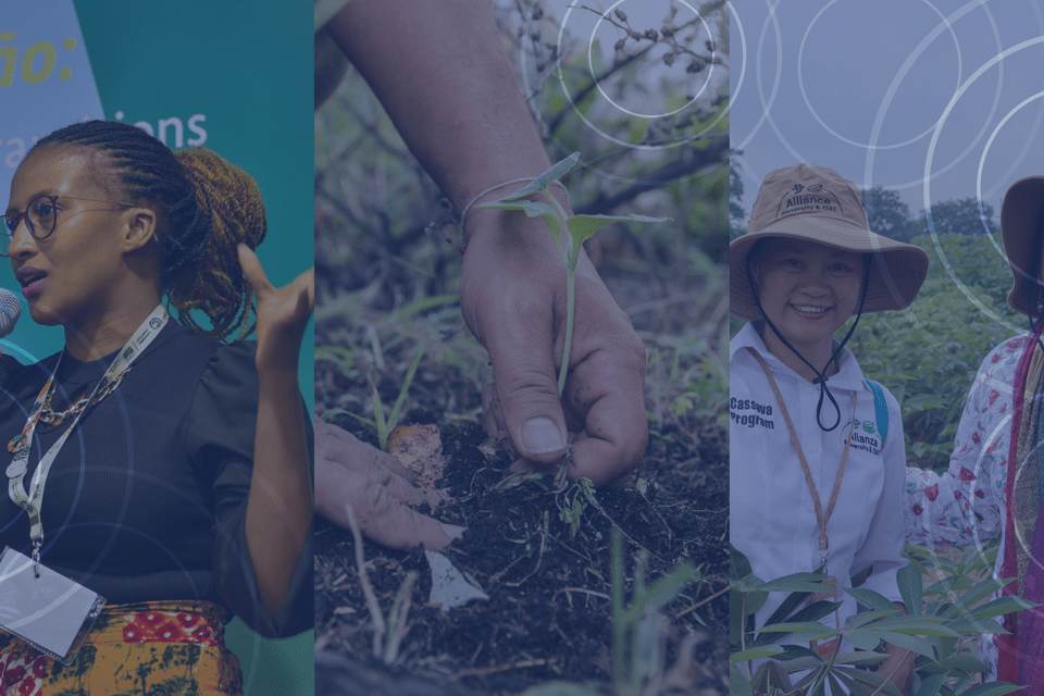 Science under pressure -  building resilient food systems through innovation and partnership in turbulent times - Alliance Bioversity International and CIAT 