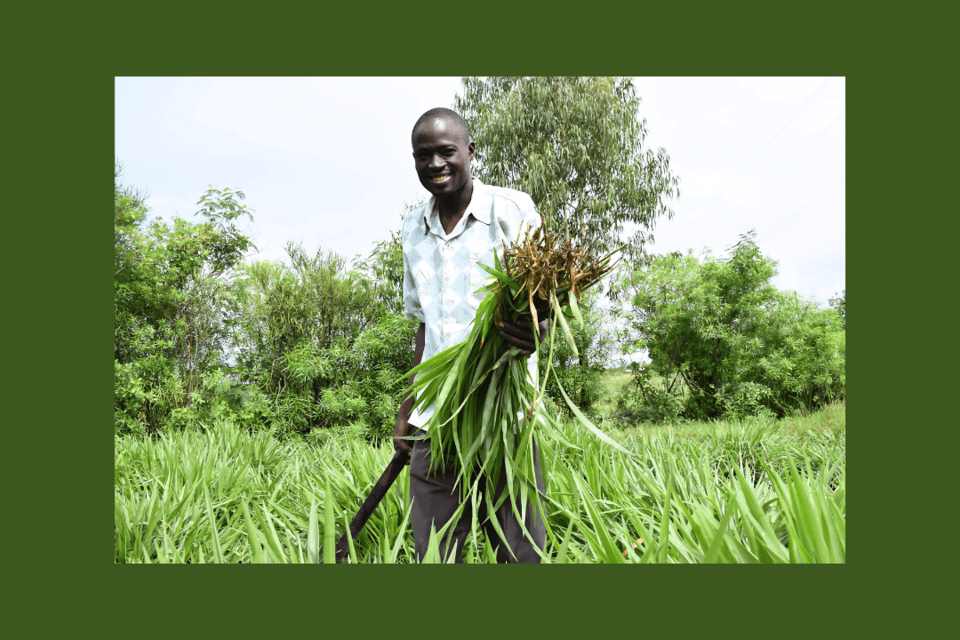 'ShambaShield'—Delivering inclusive finance and climate-smart solutions to Kenyan farmer