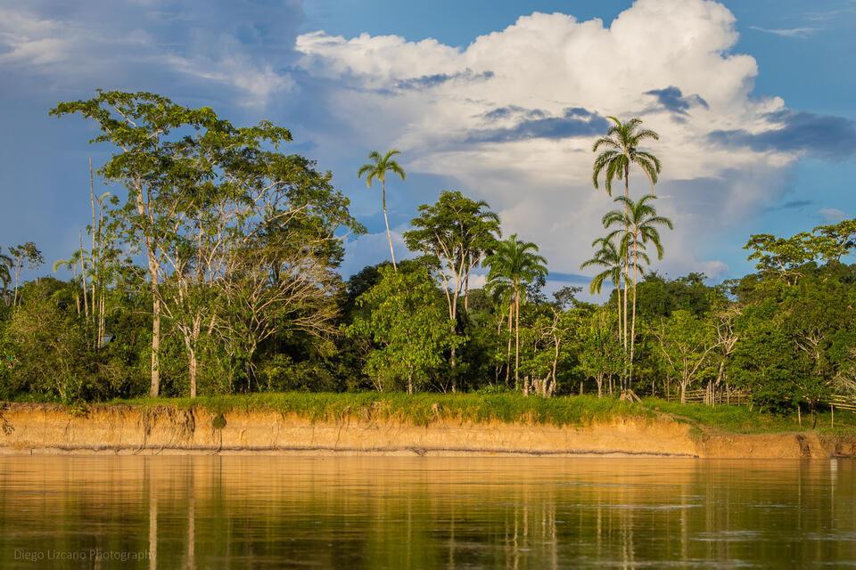 Soil conservation strategies in Amazon agroecosystems - An ethnoecological approach