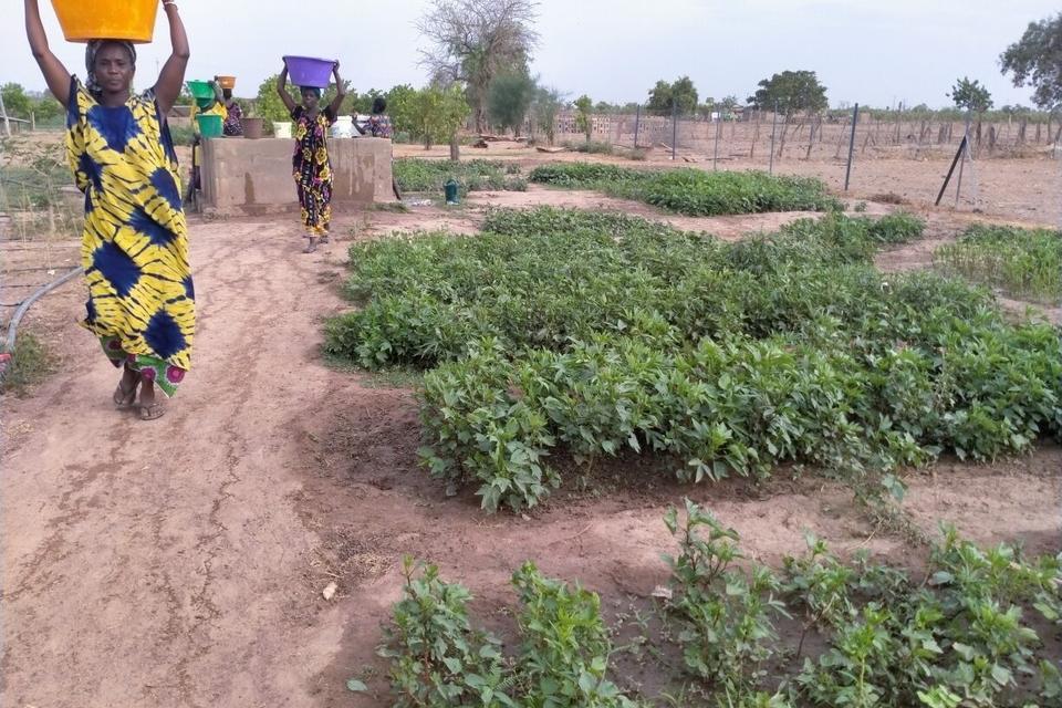 Sowing the Drops of Change Transforming Lives in the Sahel Amidst Climate Adversity 