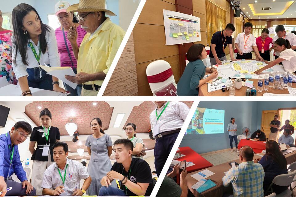 Stakeholder Engagement at the Subnational level as a key entry point for Food System Transformation