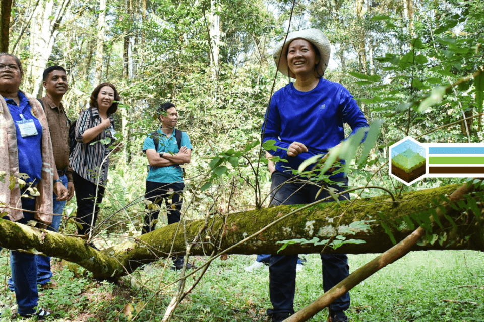 Strengthening partnerships in championing forest and tree conservation in the tropics 