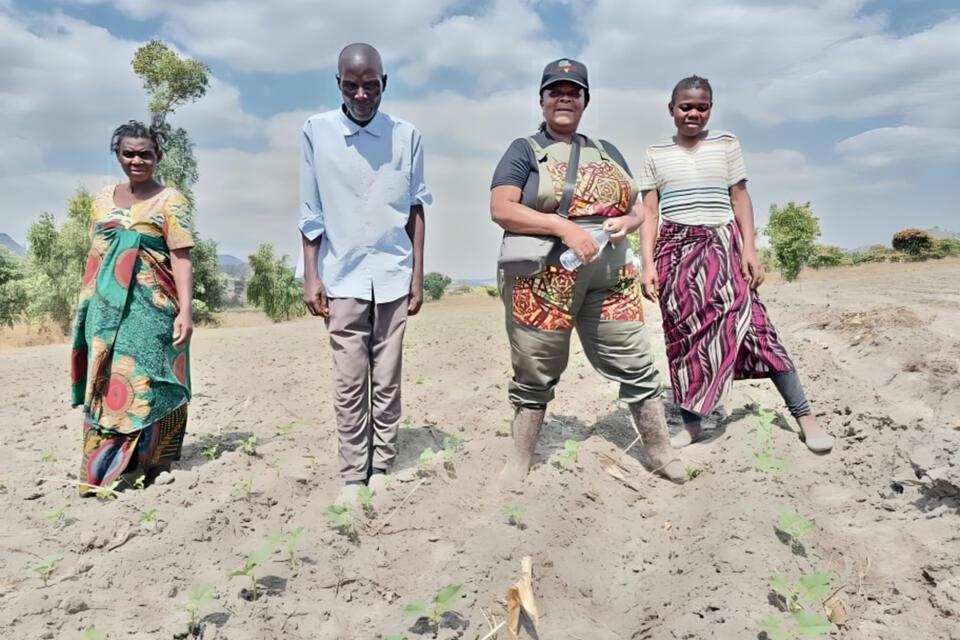 Strengthening seed systems through Multi Stakeholder Platform (MSP) How Afriseed grew into regional bean enterprise - Alliance Bioversity International and CIAT