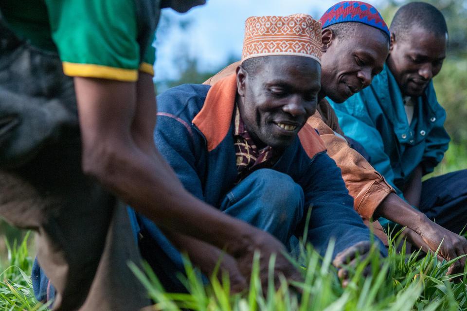 Sustainable Agricultural Development: Roots of Peacebuilding 