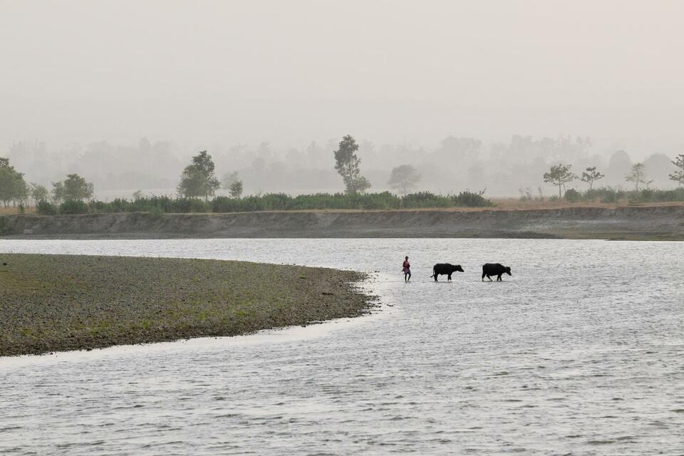 The Alliance at the 27th Meeting of the Subsidiary Body on Scientific, Technical and Technological Advice (SBSTTA-27)