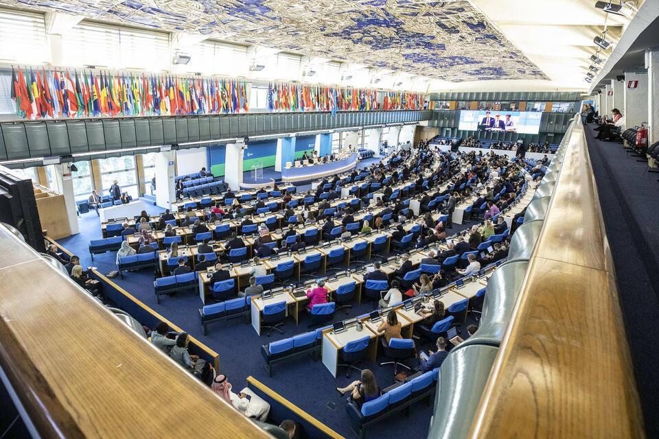 The Alliance at the 53rd Plenary Session of the Committee on World Food Security