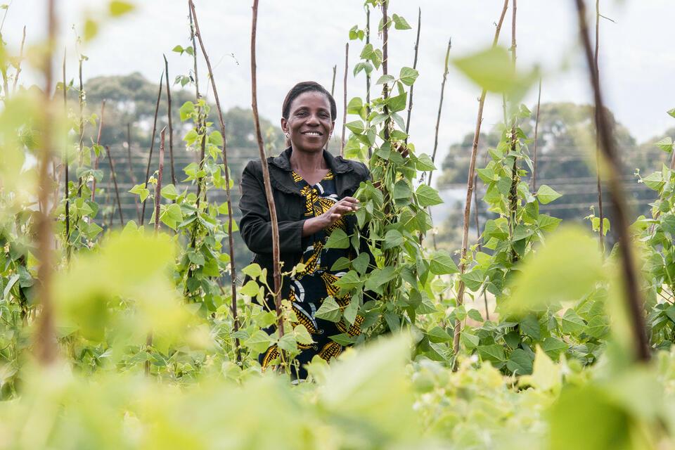 The Alliance at the African Plant Breeders Association (APBA) Conference 2025