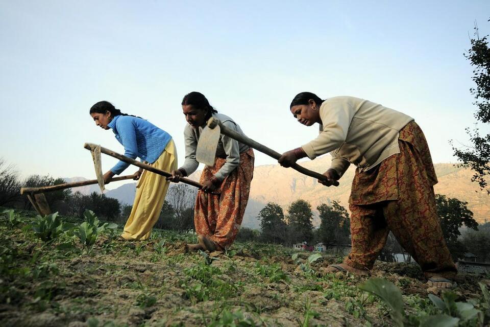 The Alliance at the Global Conference on Women in Agri-Food Systems (GCWAS) 2026