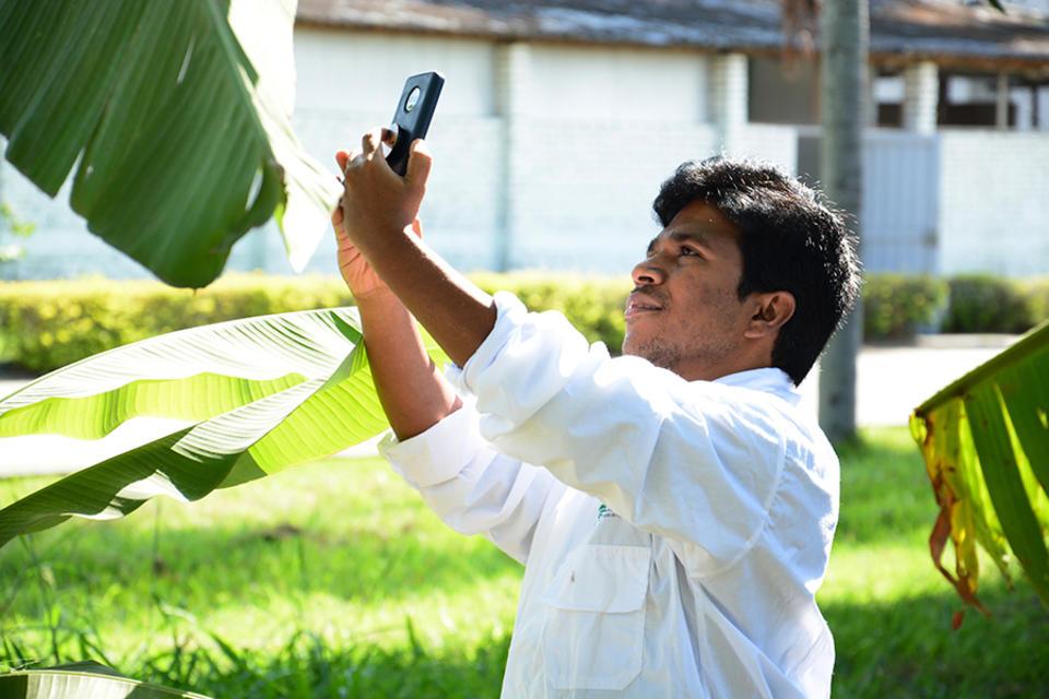 The Champion who created an App to identify banana diseases