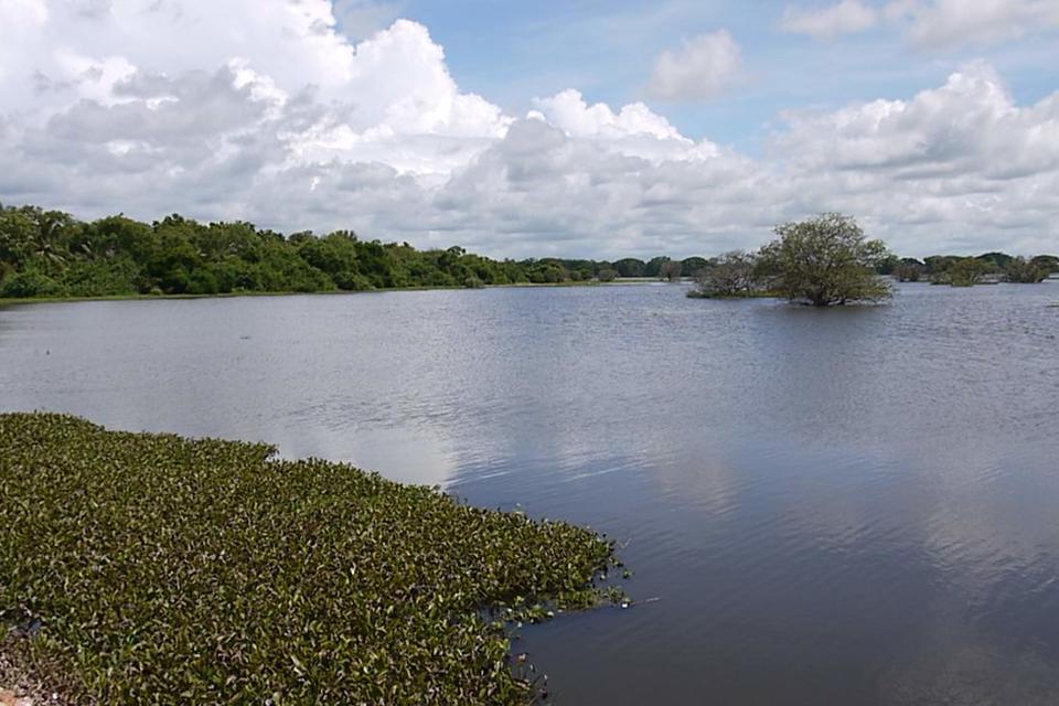 Un Antiguo Sistema De Gestión Del Agua en Sri Lanka Vuelve a La Vida He Aquí El Porqué - Alianza Bioversity International - CIAT