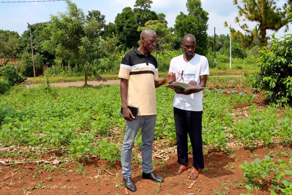 When farmers start calling for the forecast Rebuilding trust in climate information in Uganda