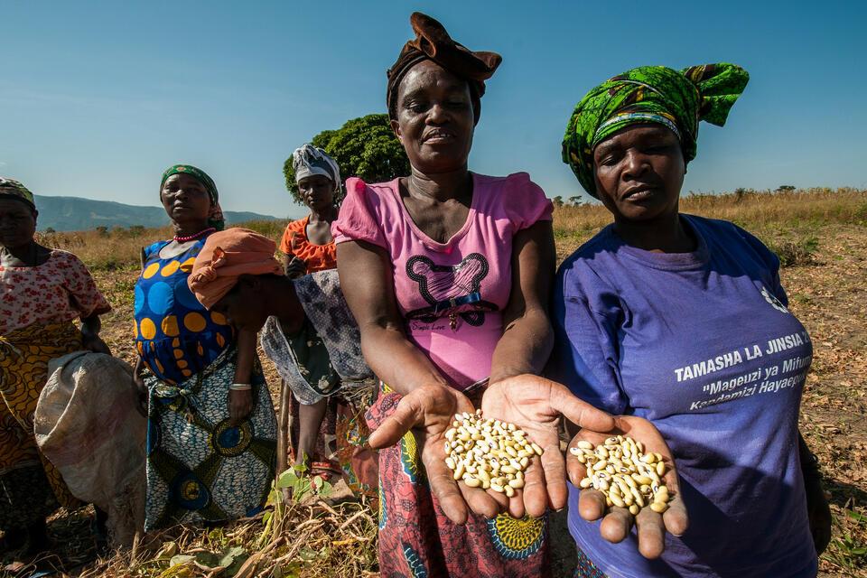 When Women Lead, Food and Land Systems Thrive The International Year of the Woman Farmer - Alliance Bioversity International and CIAT