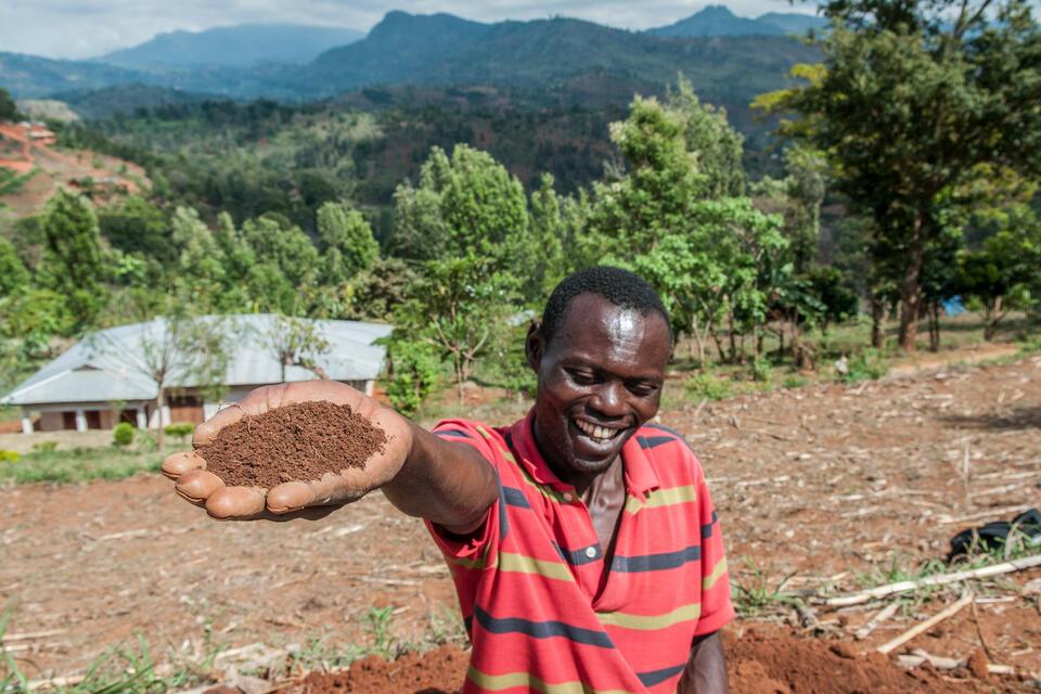 Why Sustainability is the Future of Africa's Grain Markets 