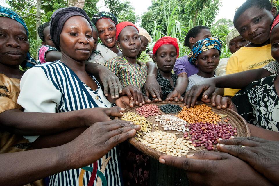 Women and girls are at the heart of fostering better agrifood systems for all - Alliance of Bioversity International - CIAT